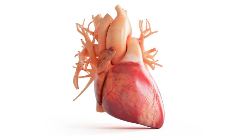 Heart Specialist in Pune