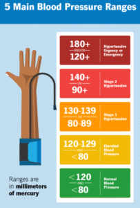 Blood pressure levels are categorized as normal, elevated, Stage 1 hypertension, and Stage 2 hypertension depending on systolic and diastolic readings.