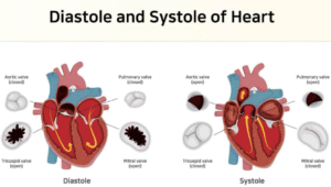 Understanding the difference between systolic and diastolic blood pressure helps in identifying heart health risks.