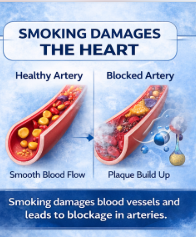 Smoking damages the heart showing healthy vs blocked artery and reduced blood flow explained by Dr. Tanmay S Kulkarni Heart Specialist in Pune